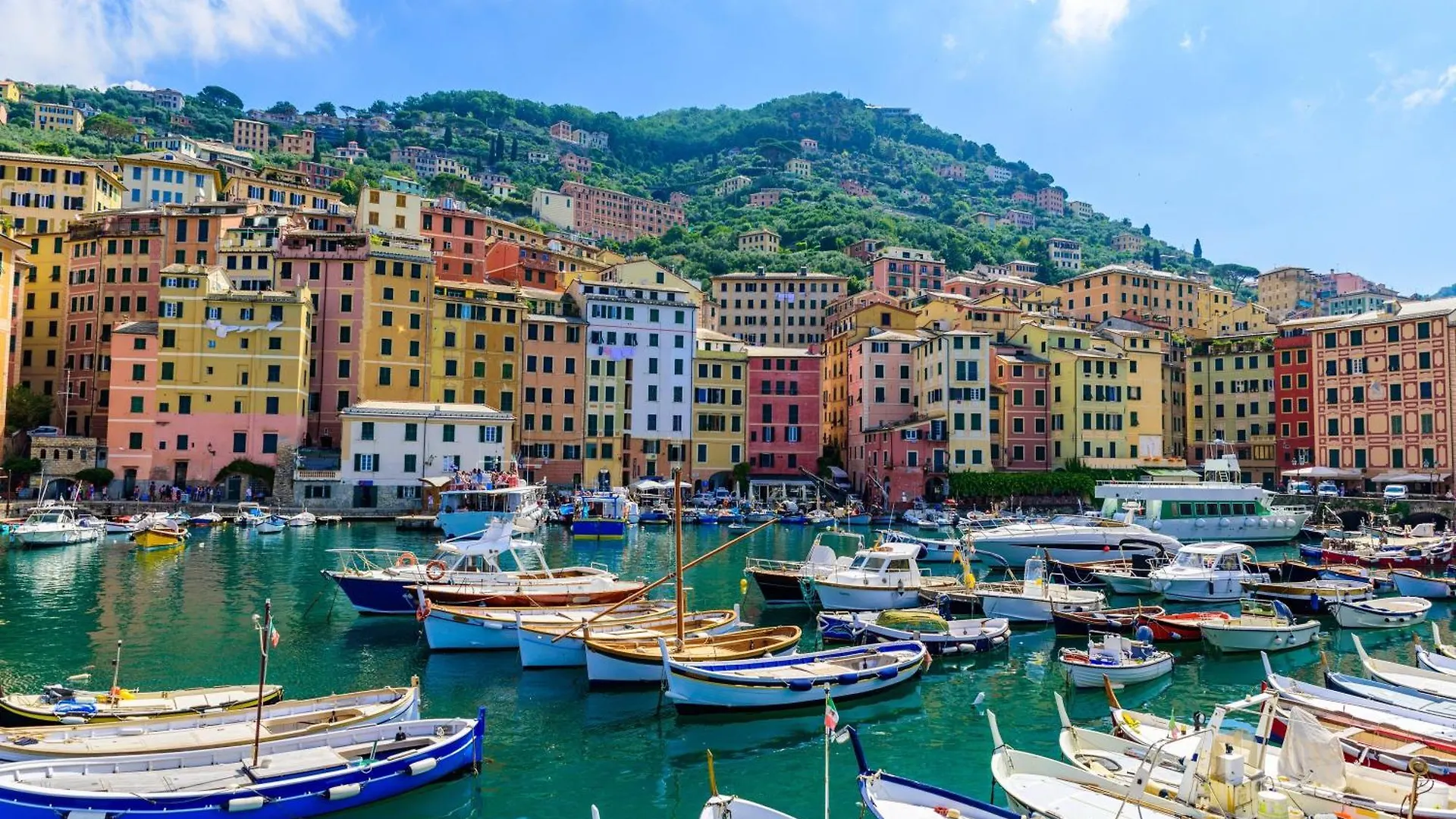 Charming Flat Historic Center Camogli - Happy Rentals